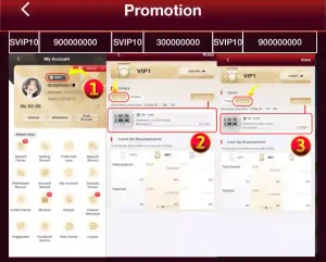 ZOR77 VIP Bonus original screenshot.