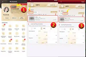 ZOR77 VIP program original screenshot free to download.